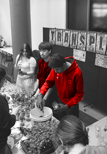 Picture of students engaging with the local community in the agora of John Abbott College by giving out plants at the earth day stand with the transplant posters and a description saying: Engaging with the local community
                and providing the opportunity to connect with nature was the main objective in celebration of Earth Day 2024.
                